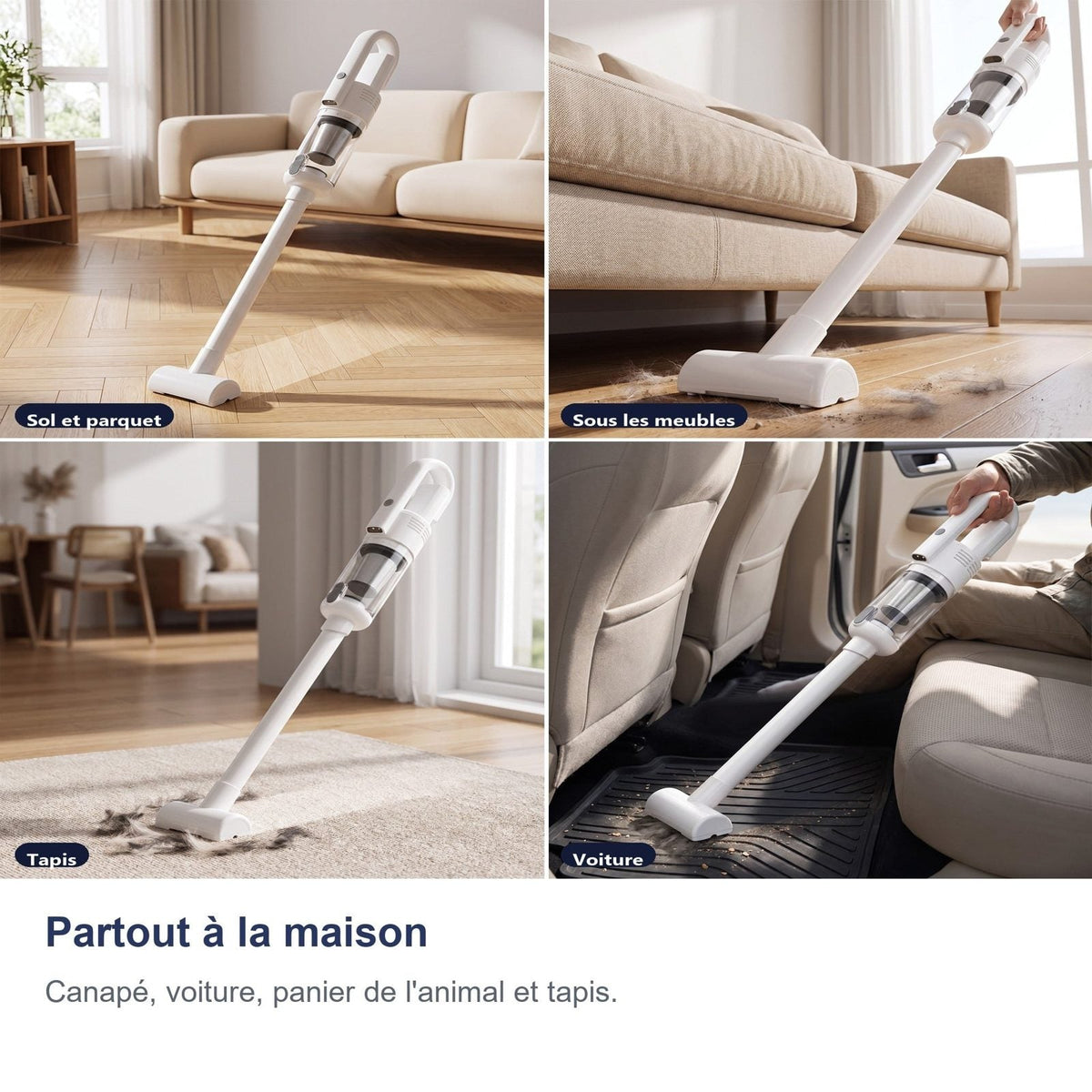 Ovunque in casa: divano, auto, cuccia o tappeto