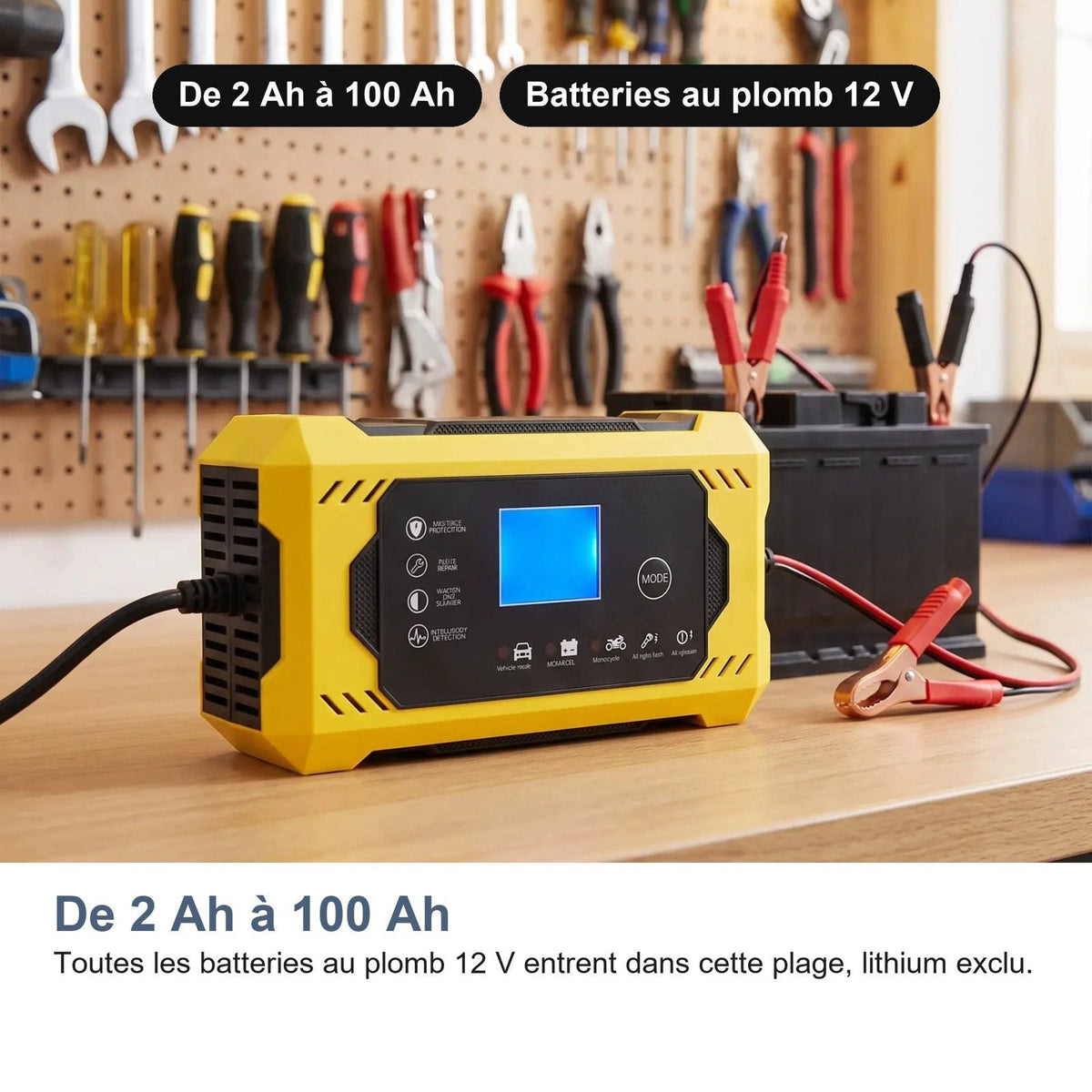 Batterie al piombo 12 V da 2 Ah a 100 Ah compatibili con il caricabatterie