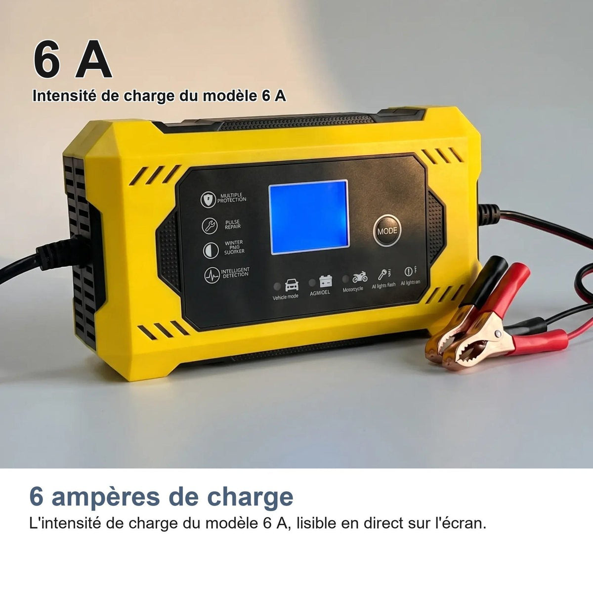 Caricabatterie da 6 ampere di corrente di carica
