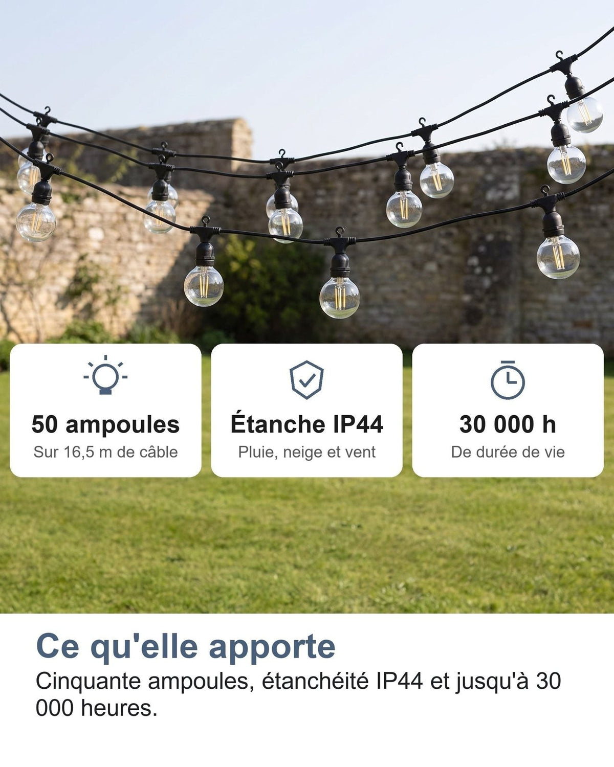 Cosa offre: cinquanta lampadine, protezione IP44 e fino a 30 000 ore