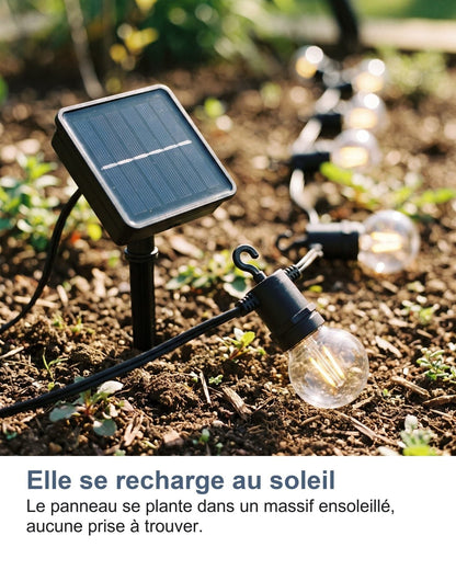 Si ricarica al sole: il pannello si pianta in un'aiuola soleggiata, nessuna presa da cercare