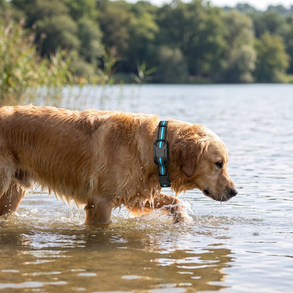 Resta al suo posto quando la passeggiata finisce in acqua