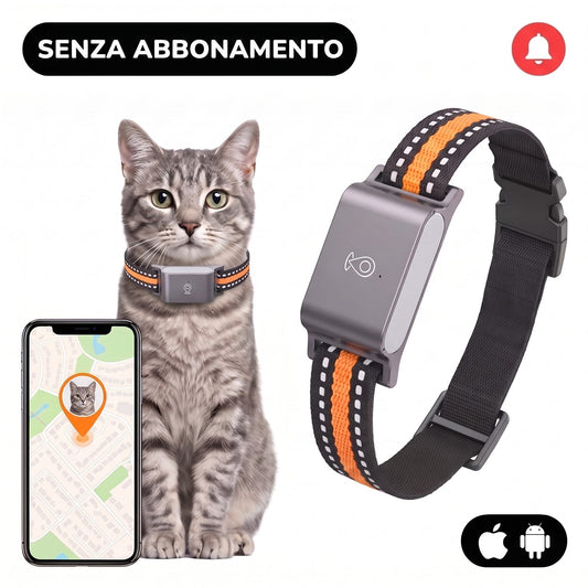 Collare GPS per gatti senza abbonamento indossato da un gatto, con la posizione mostrata sull'app dello smartphone