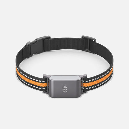 Collare GPS gatto senza abbonamento