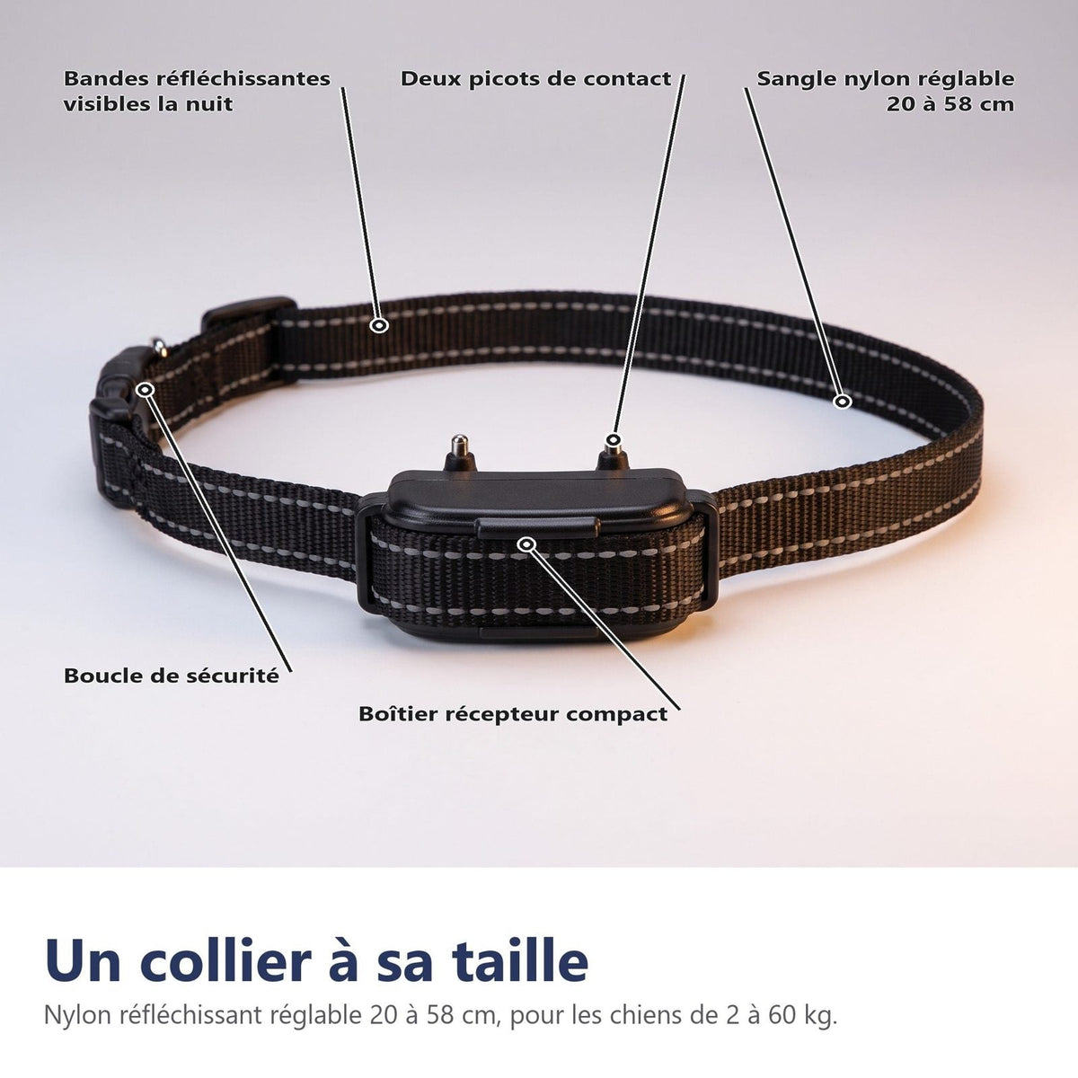 Un collare della sua taglia, regolabile da 20 a 58 cm