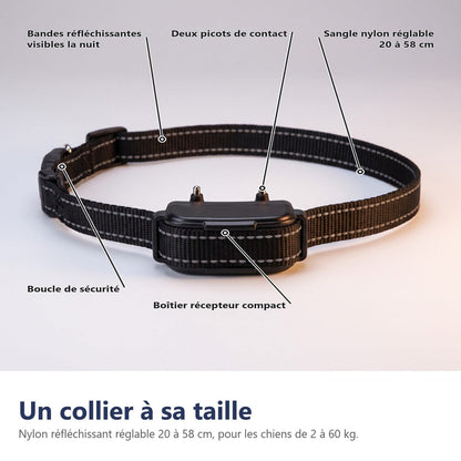 Un collare della sua taglia, regolabile da 20 a 58 cm