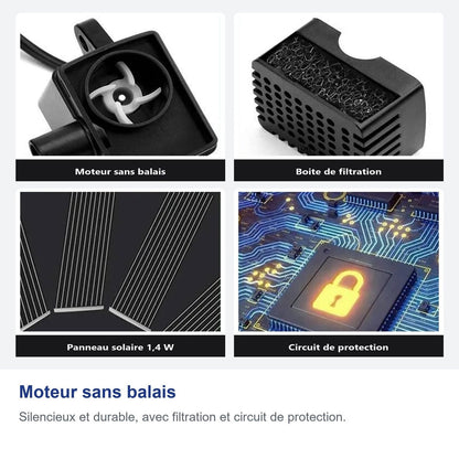 Motore brushless