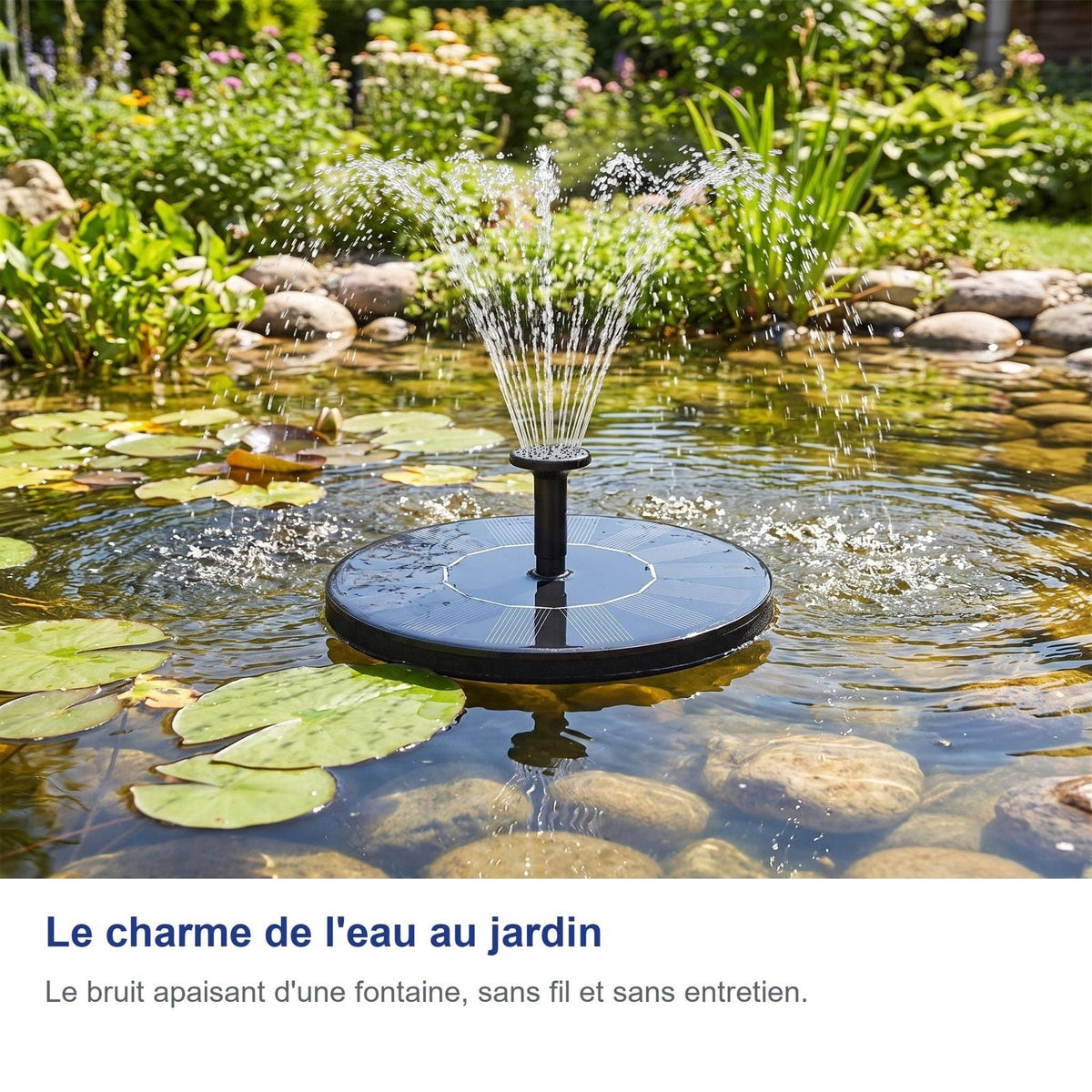 Il fascino dell'acqua in giardino