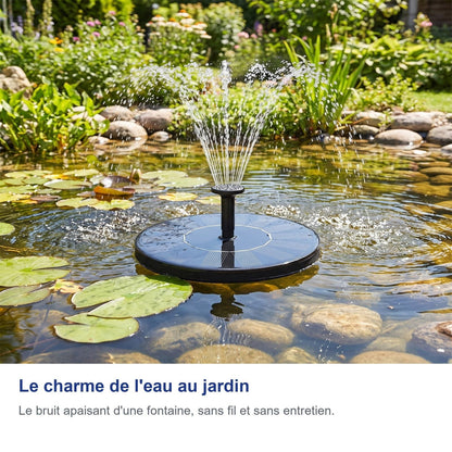 Il fascino dell'acqua in giardino