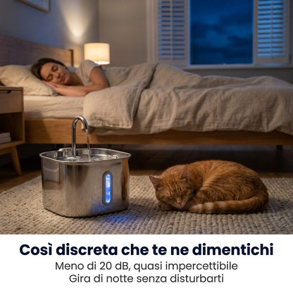 Così discreta che te ne dimentichi
