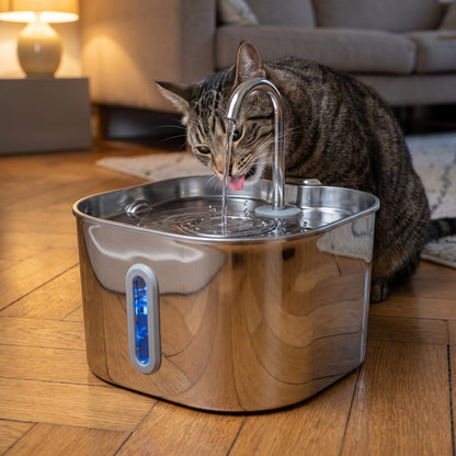Gatto che beve dal getto della fontanella in acciaio inox