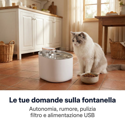 Le tue domande sulla fontanella: autonomia, rumore, pulizia, filtro e alimentazione USB
