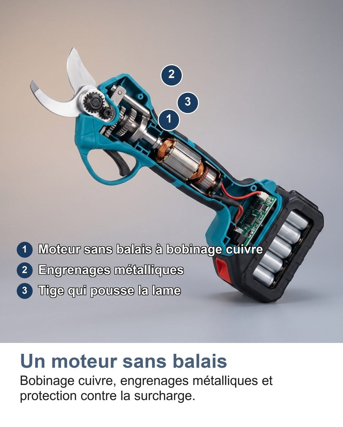 Sezione delle forbici elettriche che mostra il motore