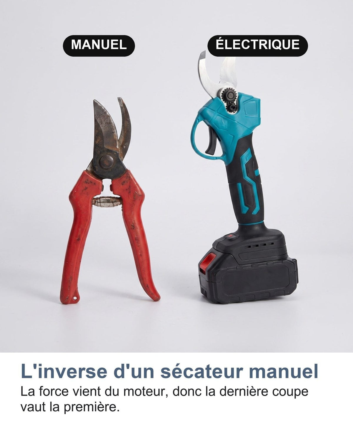 Forbici manuali e forbici elettriche fianco a fianco