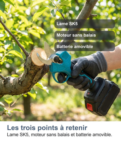 Le forbici elettriche tenute in mano in giardino