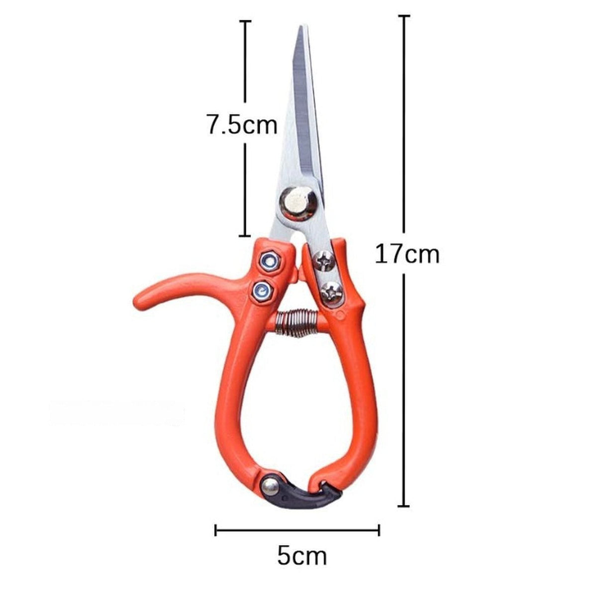 Forbici a testa dritta: 17 cm di lunghezza, lama da 7,5 cm, 5 cm di larghezza