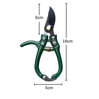 Forbici a testa curva: 16 cm di lunghezza, lama ricurva da 6 cm, 5 cm di larghezza