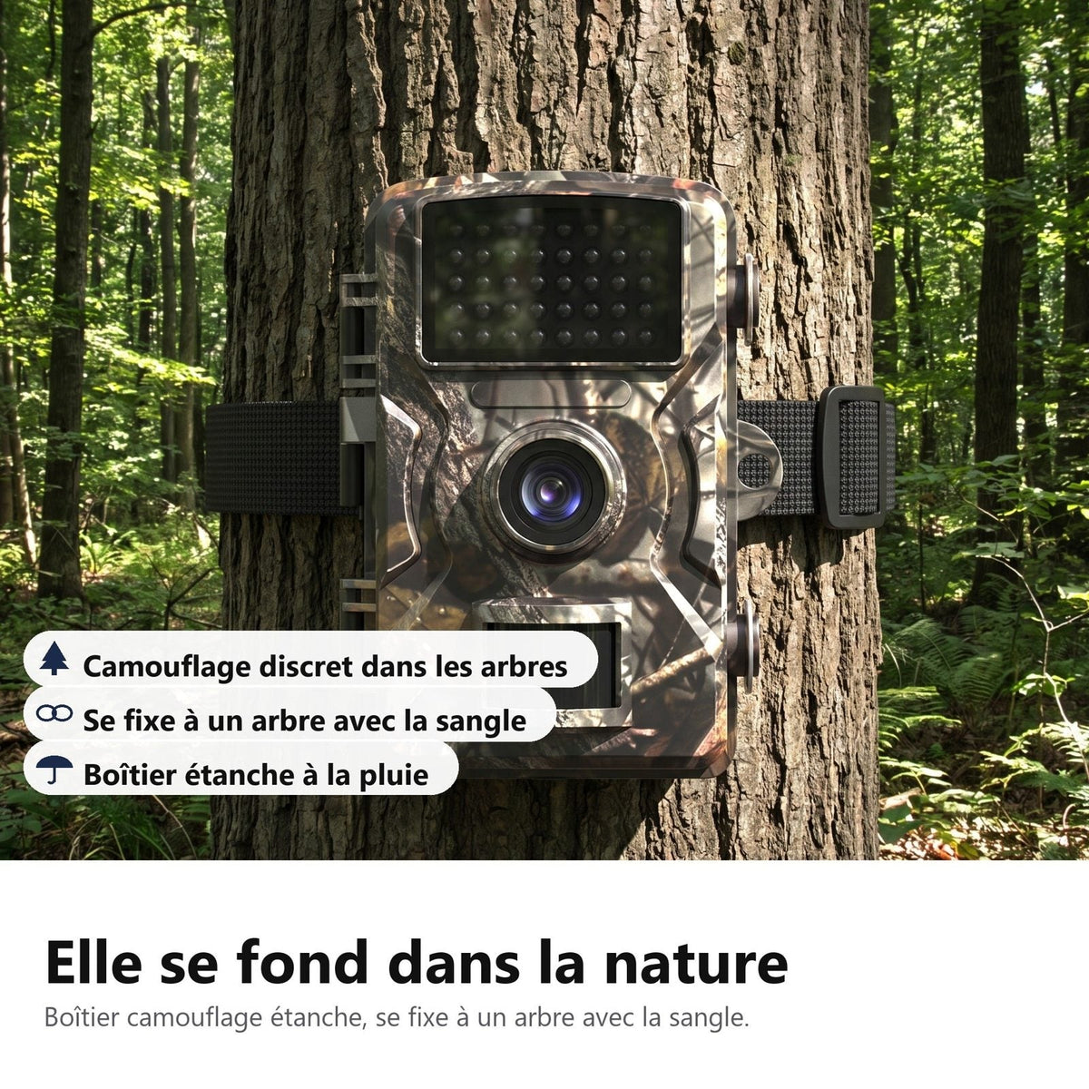 Si confonde con la natura: custodia mimetica fissata a un albero