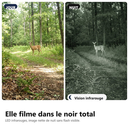 Filma nel buio totale con i LED a infrarossi