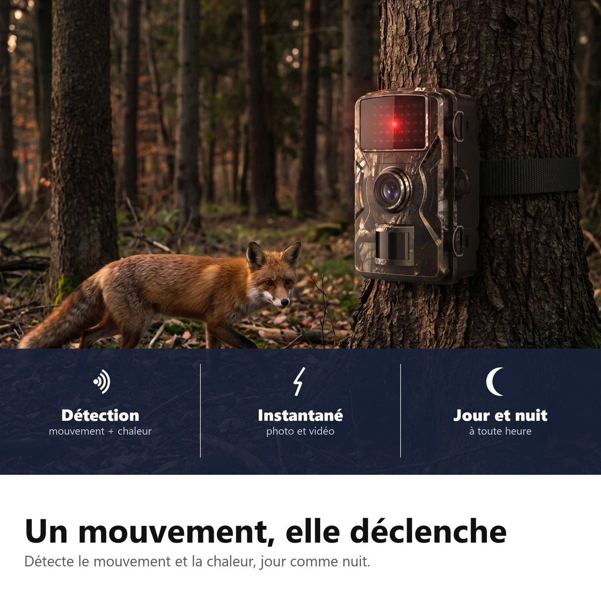Un movimento, e scatta: rilevamento di movimento e calore