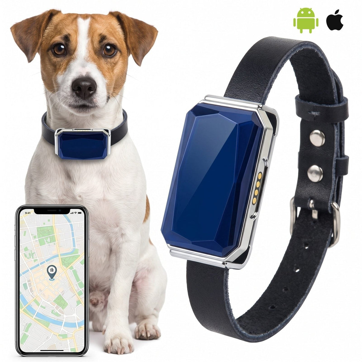 GPS per cani senza abbonamento, collare per cane e gatto con posizione in tempo reale