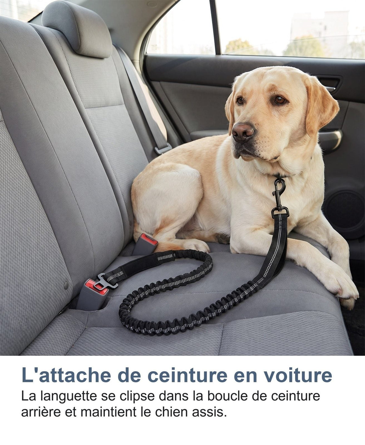 L'attacco per la cintura di sicurezza in auto