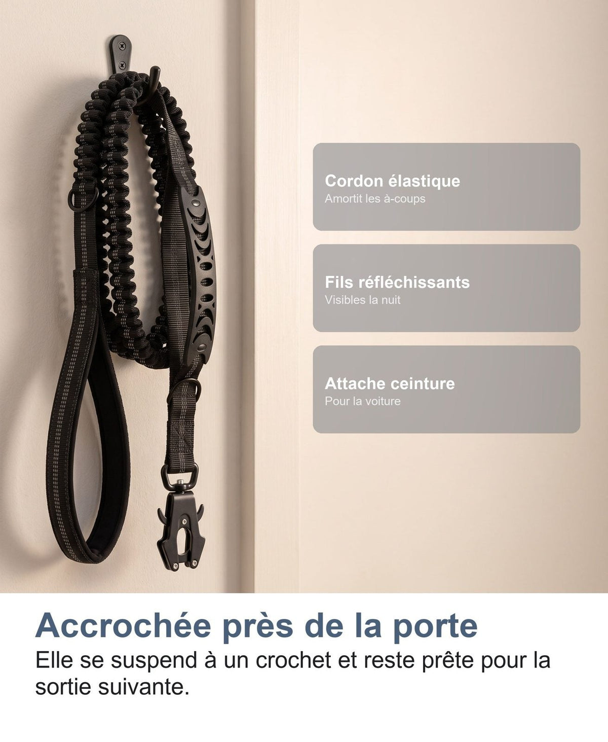Guinzaglio elastico appeso vicino alla porta