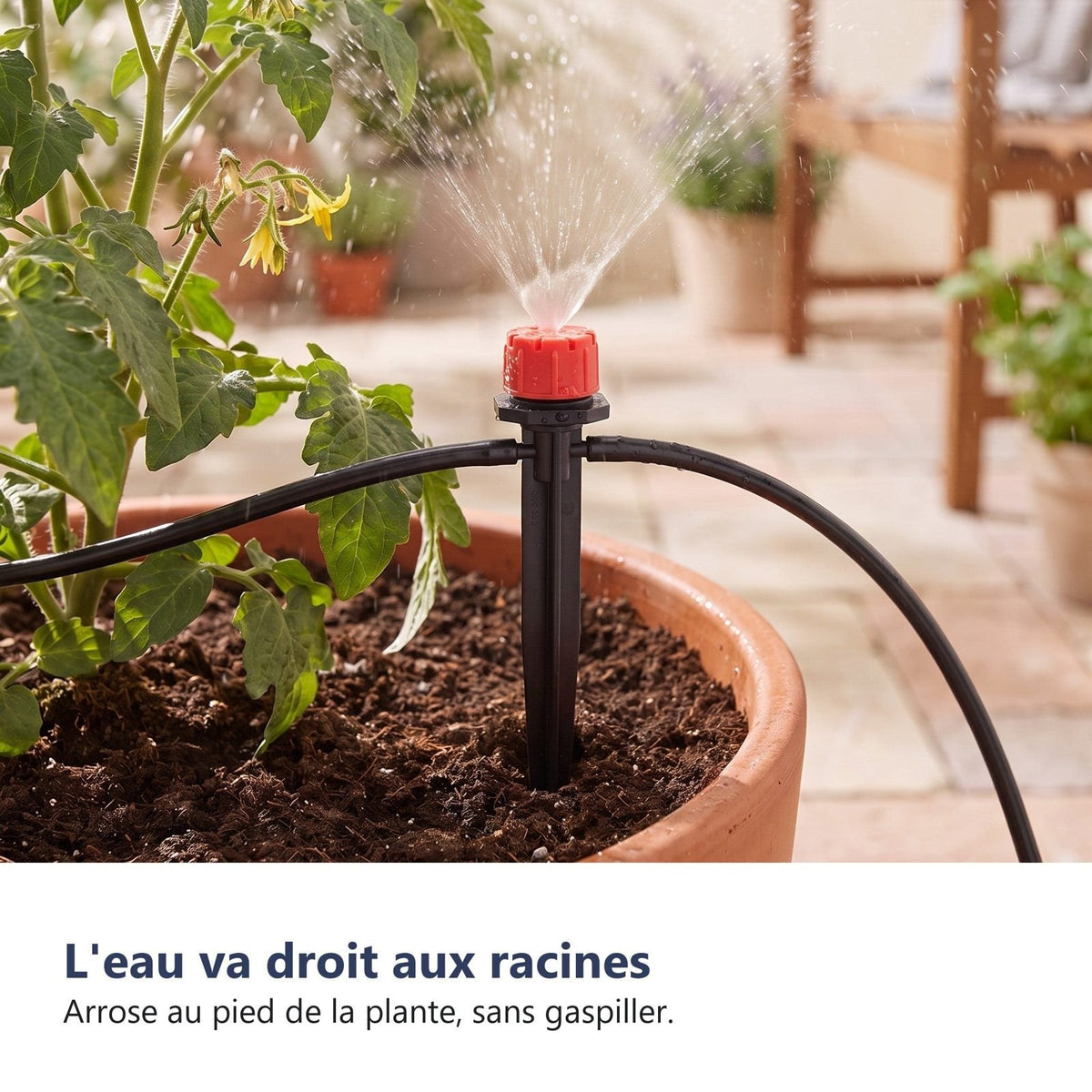 L'acqua va dritta alle radici
