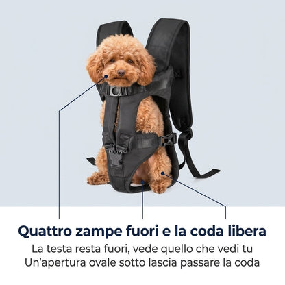 La posizione del cane nel marsupio