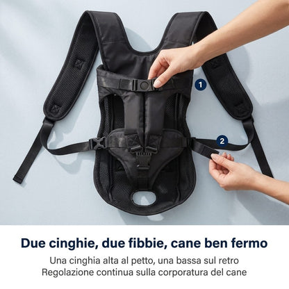 Due cinghie da regolare