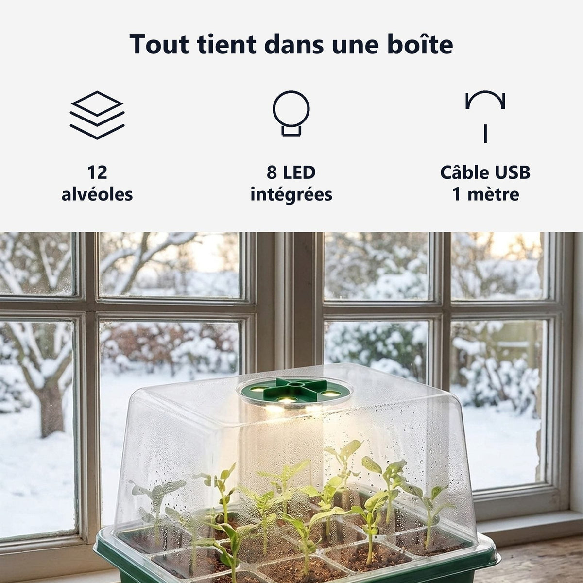 12 alveoli, 8 LED nel coperchio, 100 cm di cavo