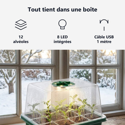 12 alveoli, 8 LED nel coperchio, 100 cm di cavo