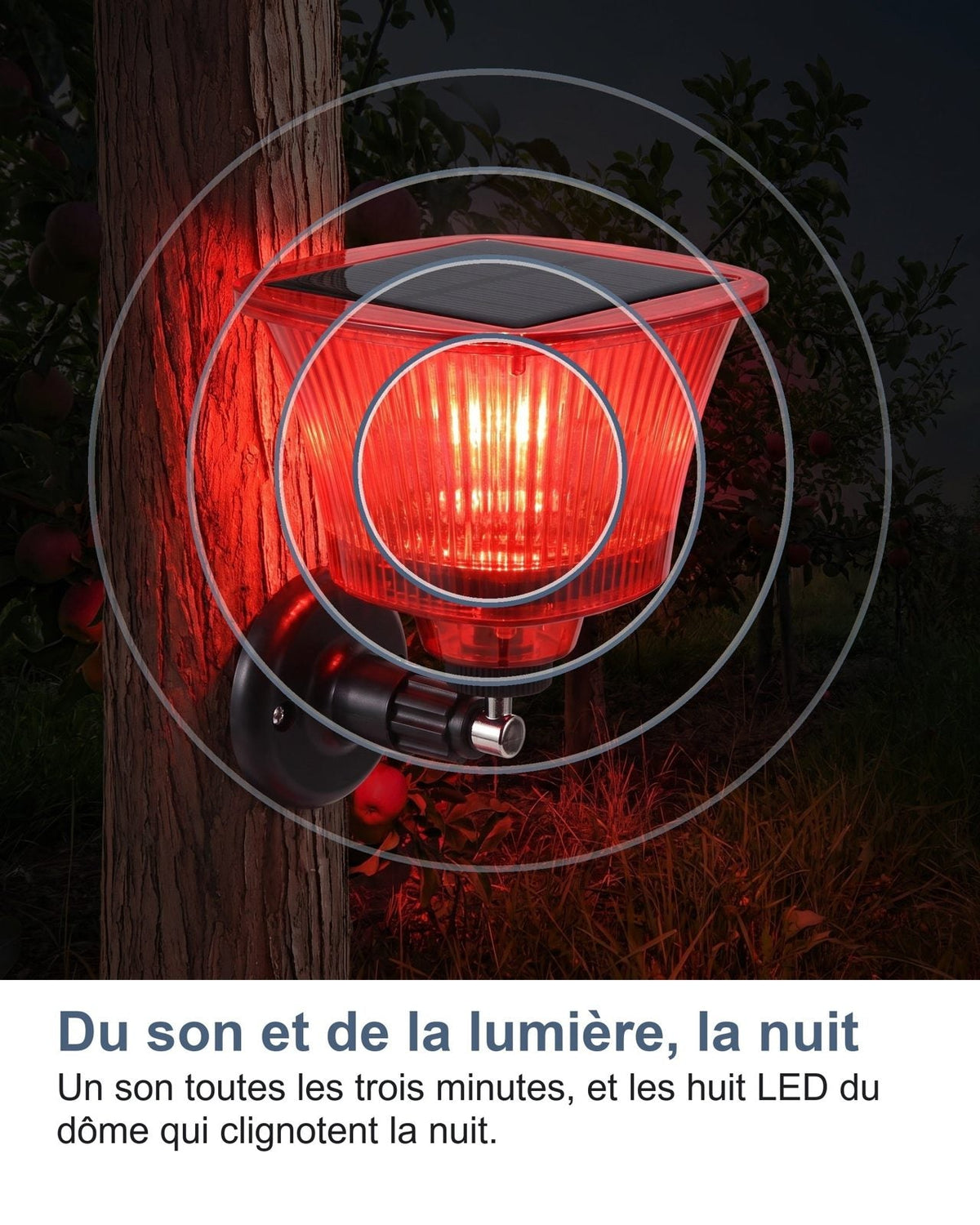 Suono e luce di notte: un suono ogni tre minuti e gli otto LED della cupola che lampeggiano