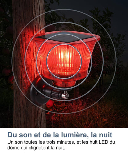 Suono e luce di notte: un suono ogni tre minuti e gli otto LED della cupola che lampeggiano