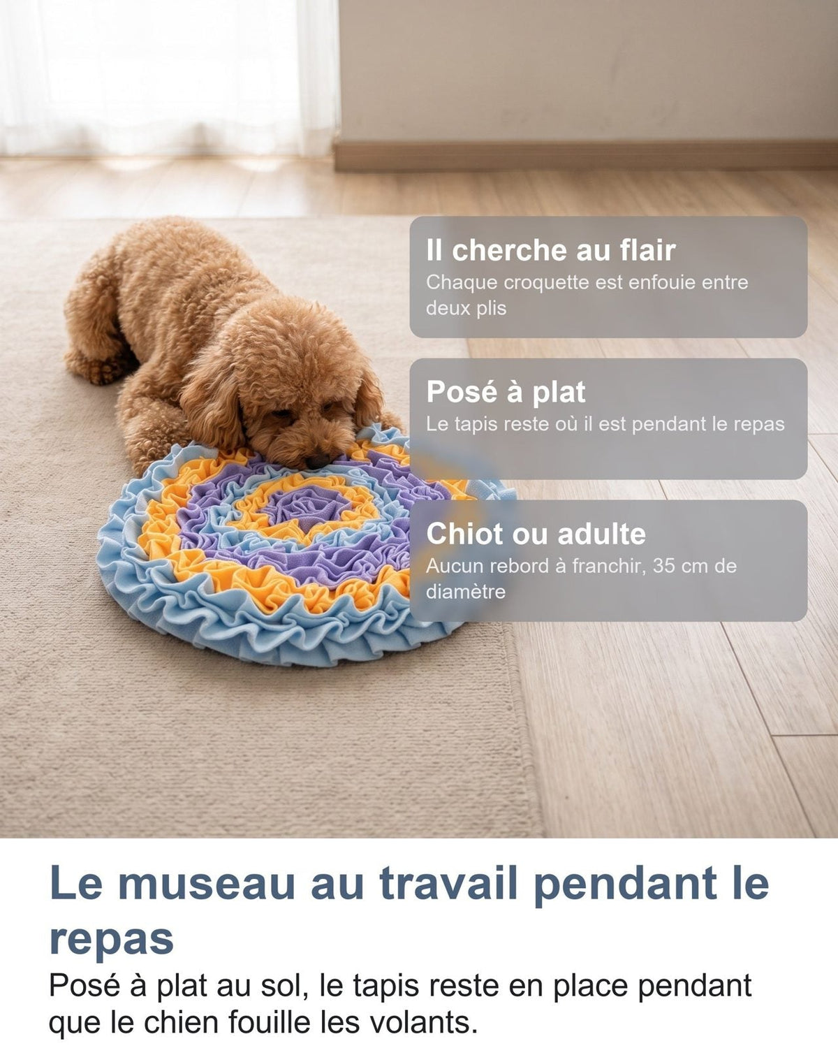 Il muso al lavoro durante il pasto: il tappeto resta fermo a terra mentre il cane fruga tra i volant