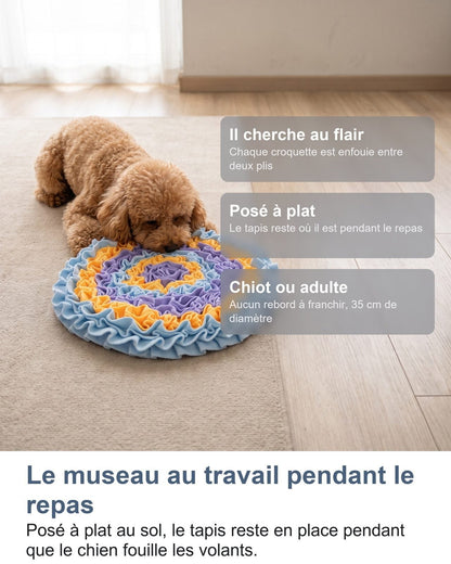 Il muso al lavoro durante il pasto: il tappeto resta fermo a terra mentre il cane fruga tra i volant