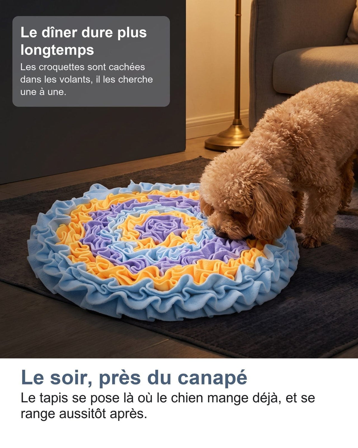 Il tappeto olfattivo la sera accanto al divano, nel punto dove il cane mangia di solito