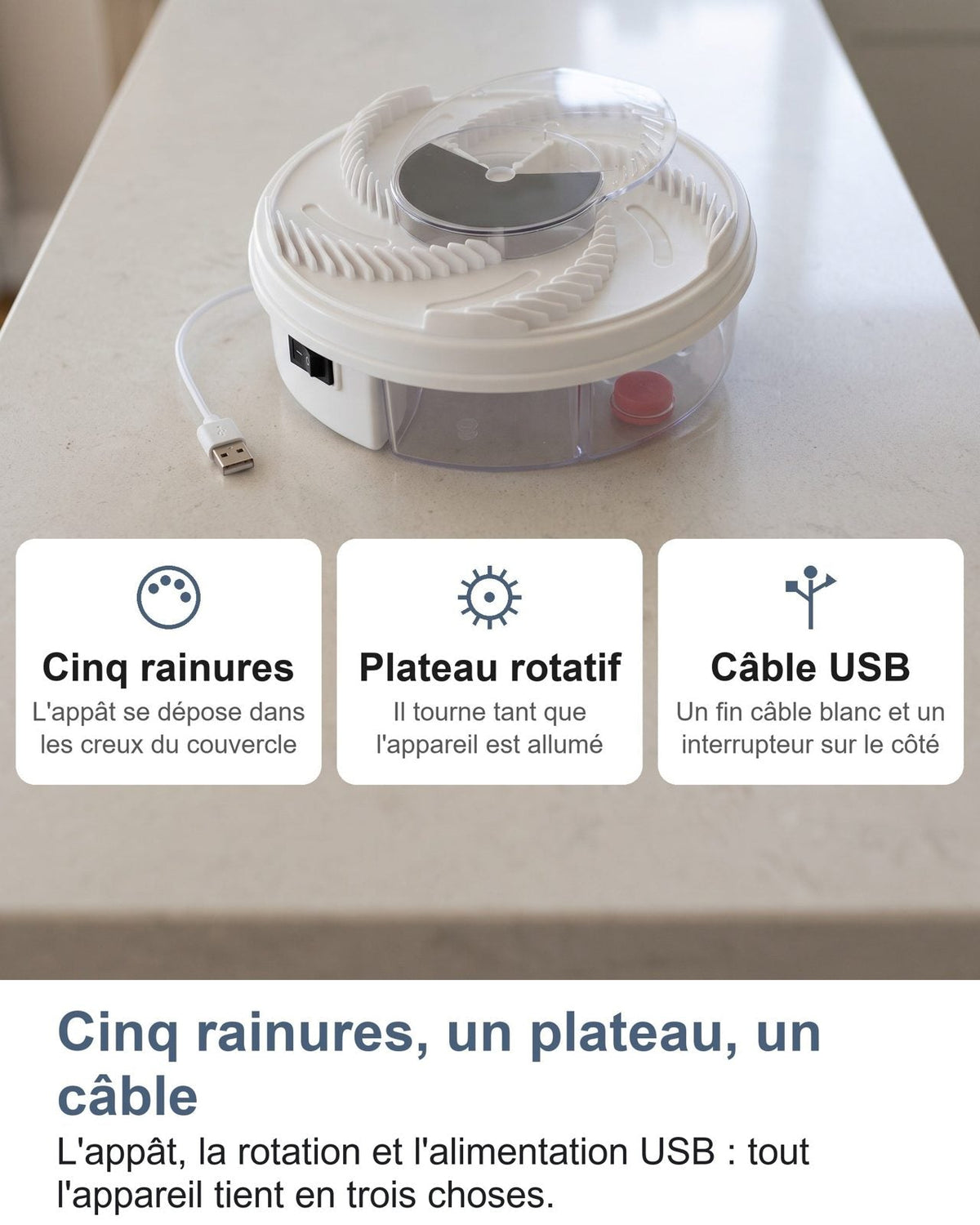 Cinque scanalature, un piatto, un cavo: esca, rotazione e alimentazione USB