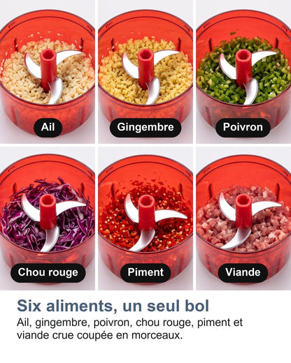 Sei alimenti, una sola ciotola: aglio, zenzero, peperone, cavolo rosso, peperoncino e carne cruda a pezzi