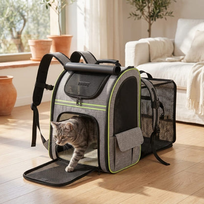 Un gatto entra nello zaino trasportino aperto