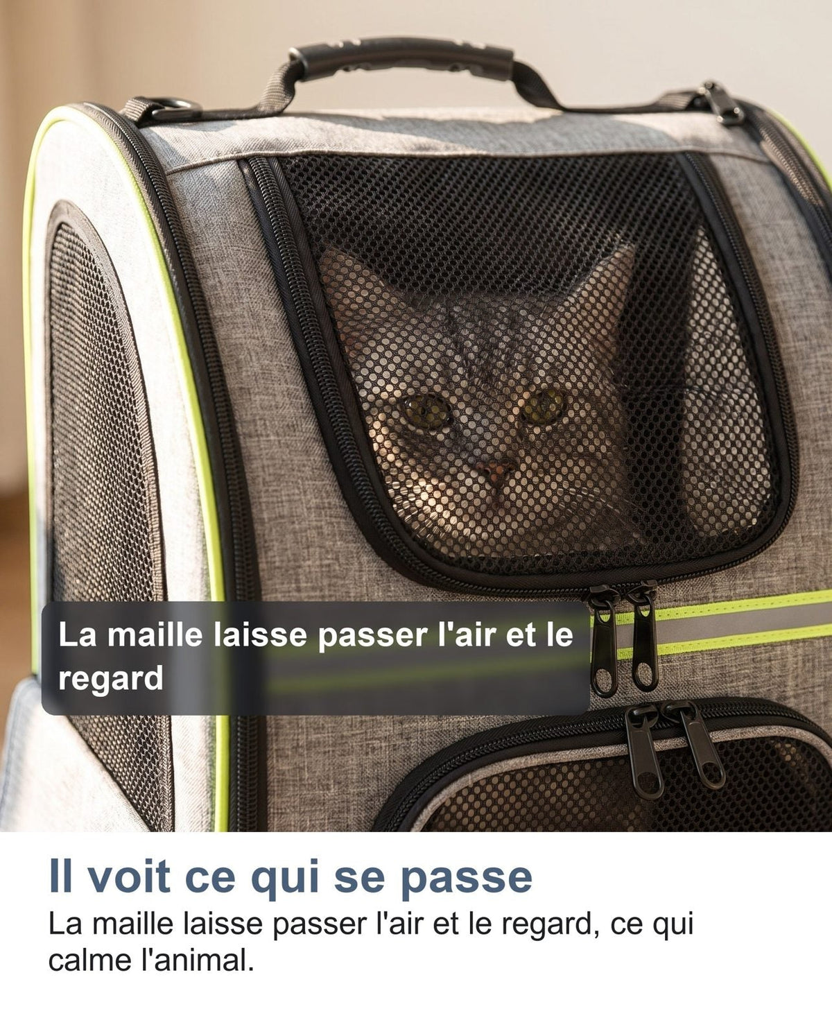 Un gatto guarda attraverso la rete dello zaino trasportino